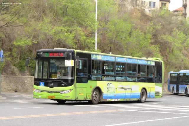800BUS