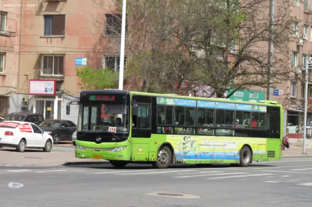 800BUS
