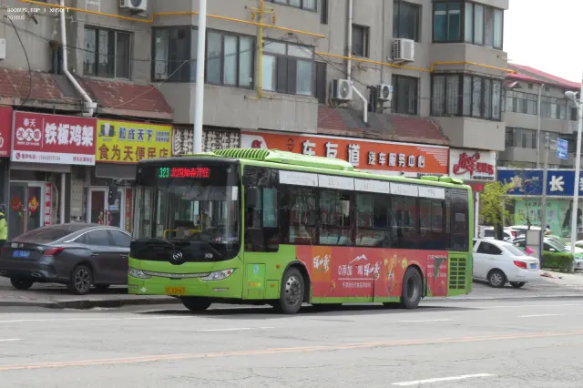 800BUS