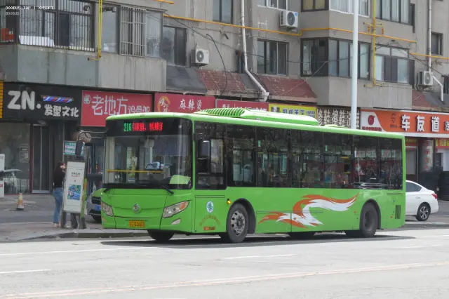 800BUS