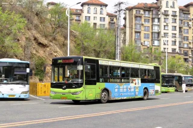 800BUS