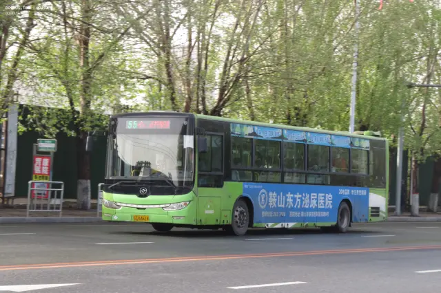 800BUS