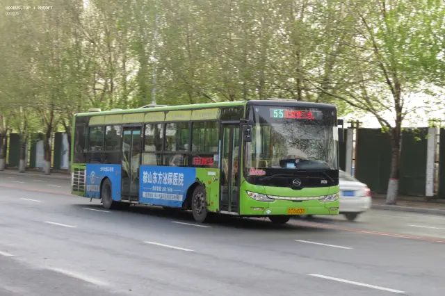800BUS
