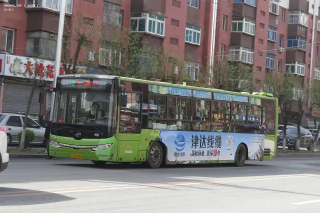 800BUS