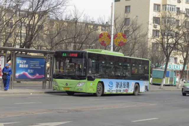 800BUS