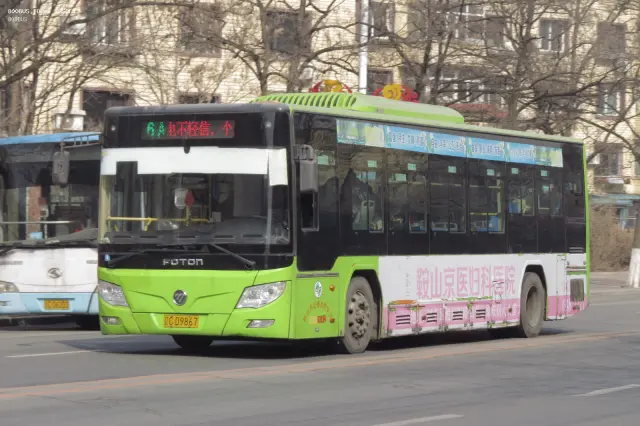 800BUS