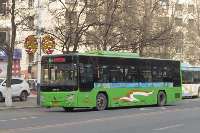 800BUS