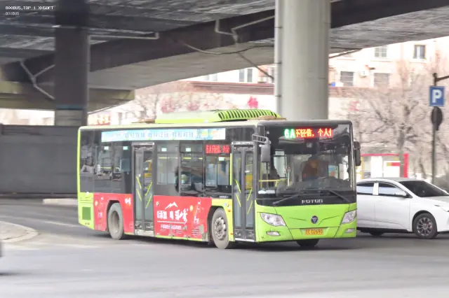 800BUS