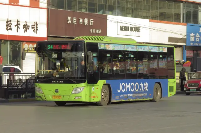 800BUS