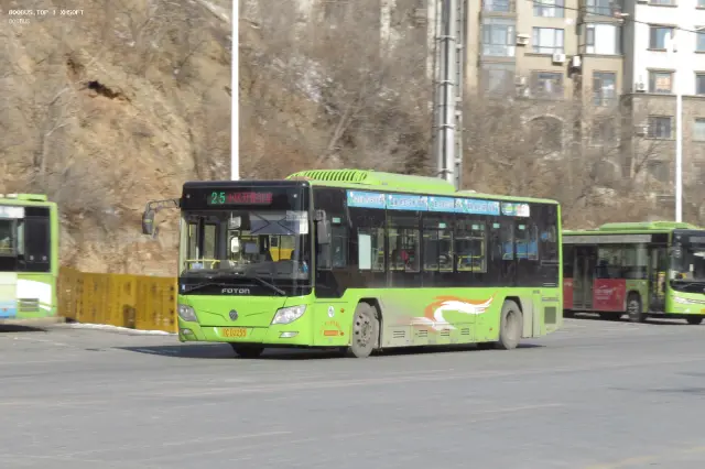 800BUS