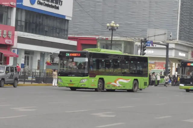 800BUS