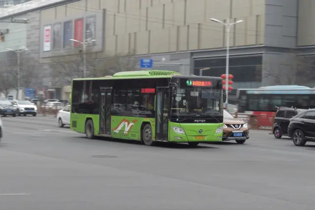 800BUS