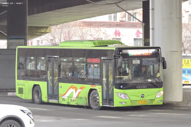 800BUS