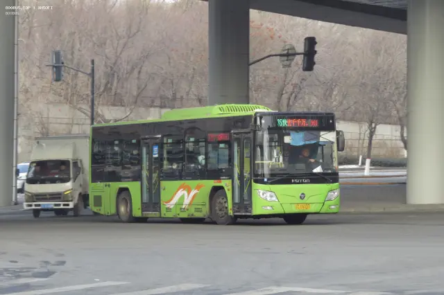 800BUS