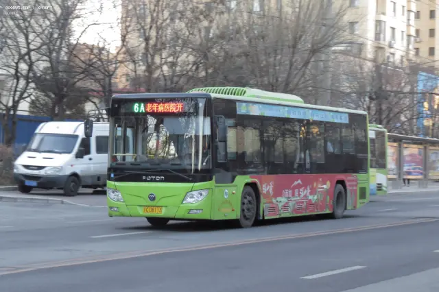 800BUS