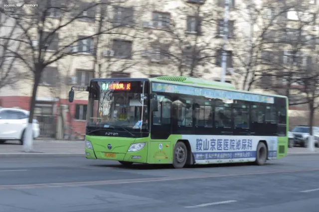 800BUS