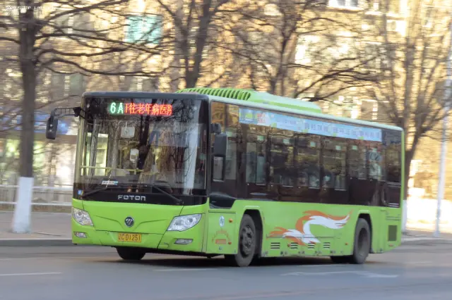 800BUS