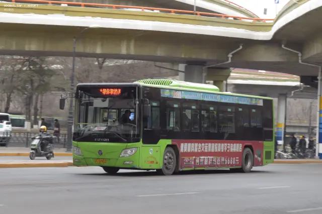 800BUS
