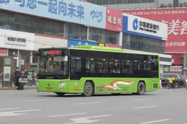 800BUS