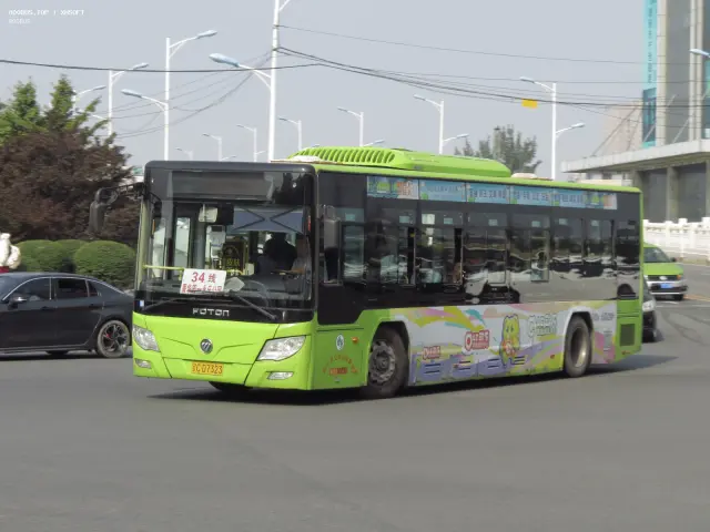 800BUS