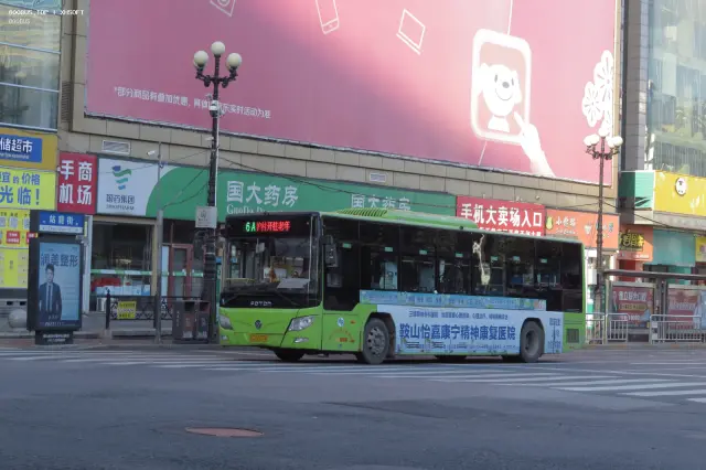 800BUS