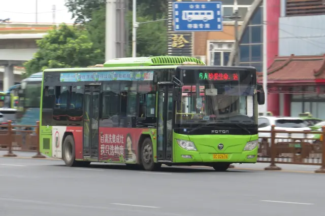 800BUS