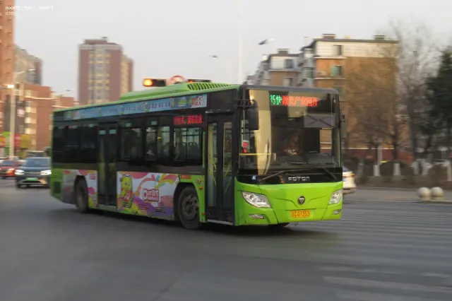 800BUS
