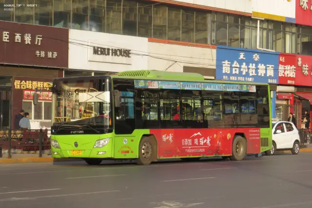 800BUS