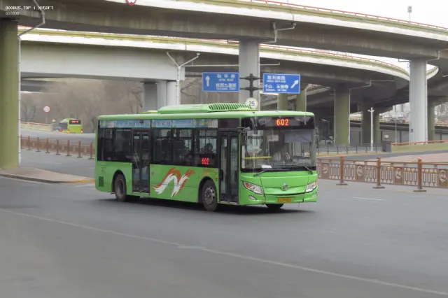 800BUS