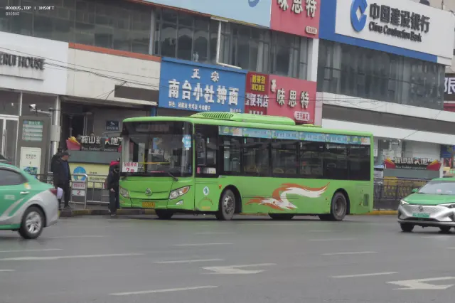 800BUS