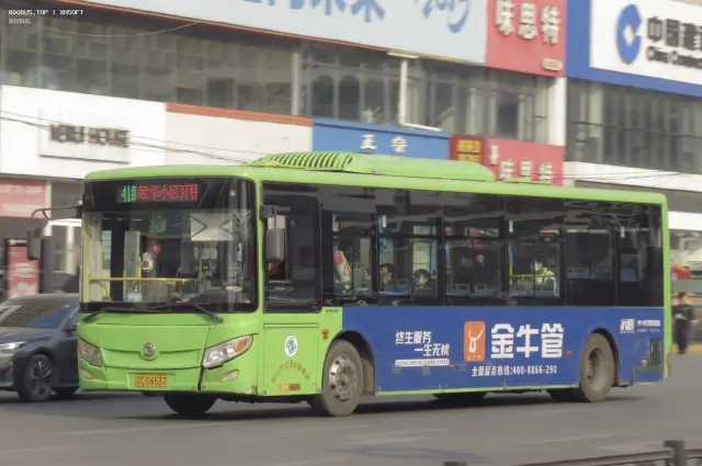 800BUS