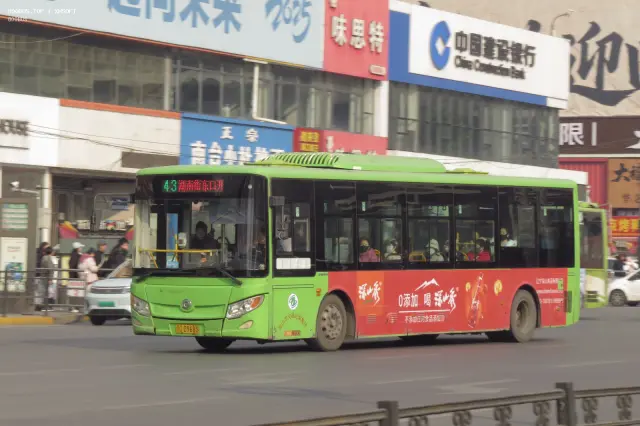 800BUS