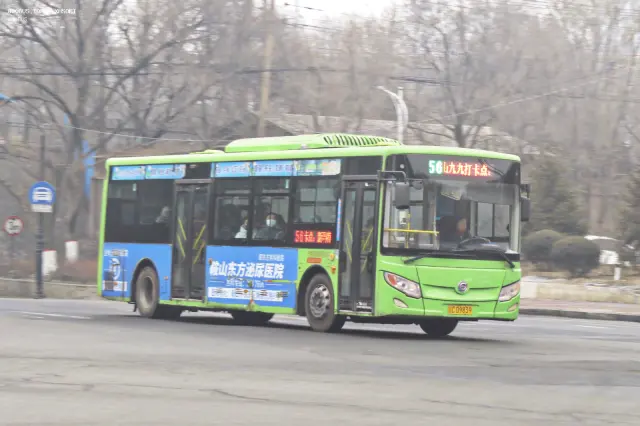 800BUS