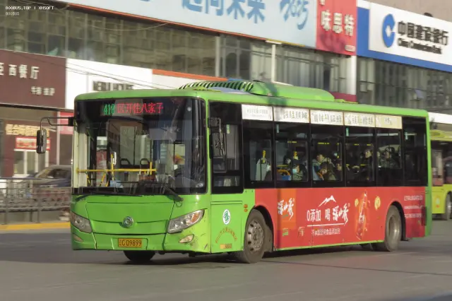 800BUS