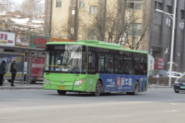 800BUS
