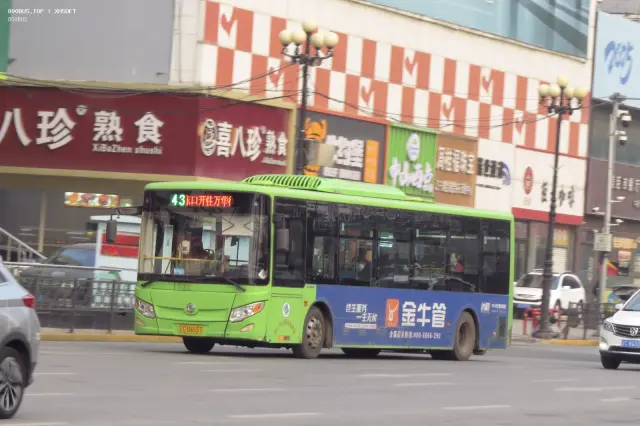 800BUS