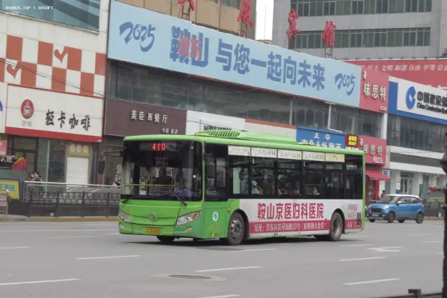 800BUS