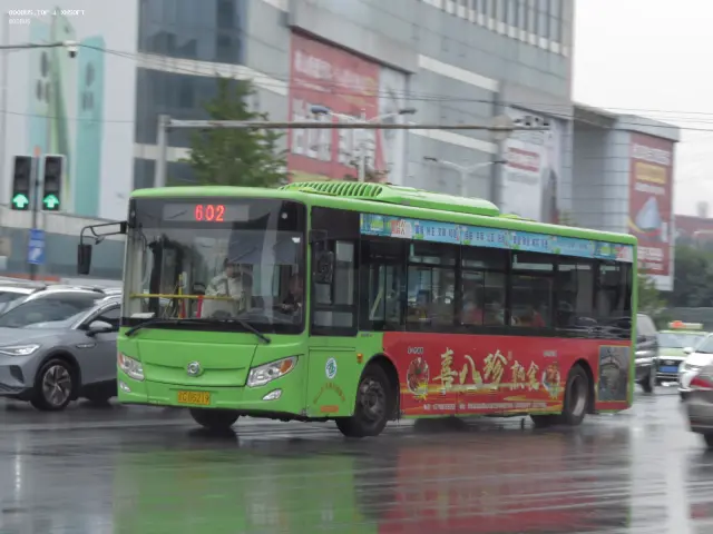 800BUS