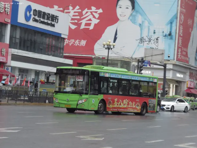 800BUS