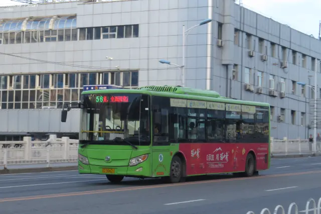 800BUS