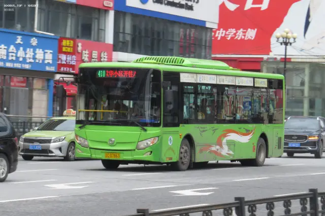 800BUS