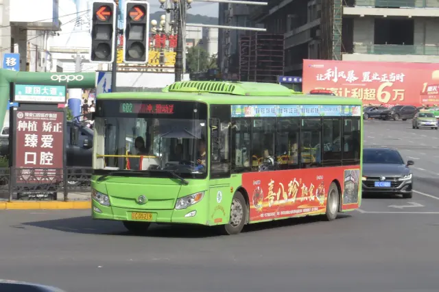 800BUS