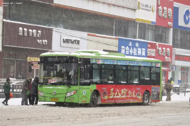 辽C D5282