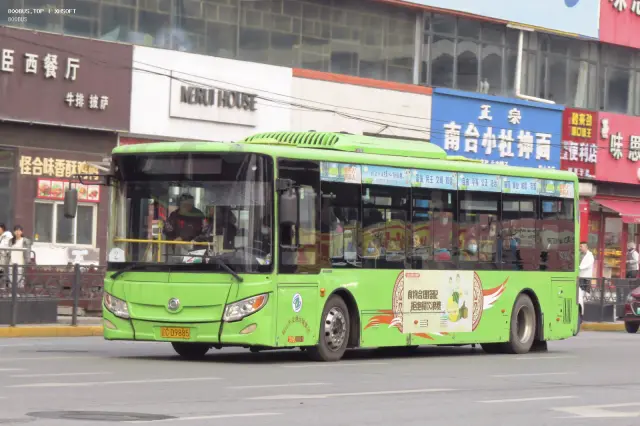 800BUS
