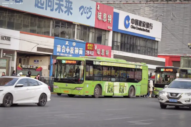 800BUS