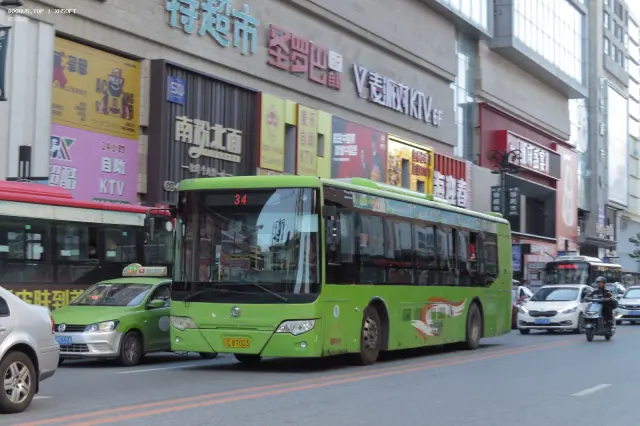 800BUS