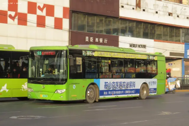 800BUS