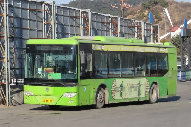 800BUS