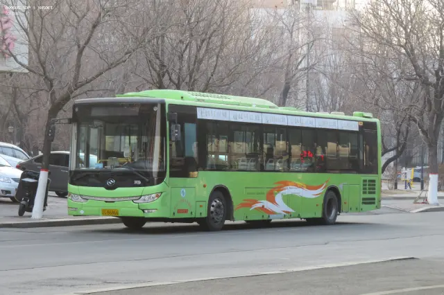 800BUS
