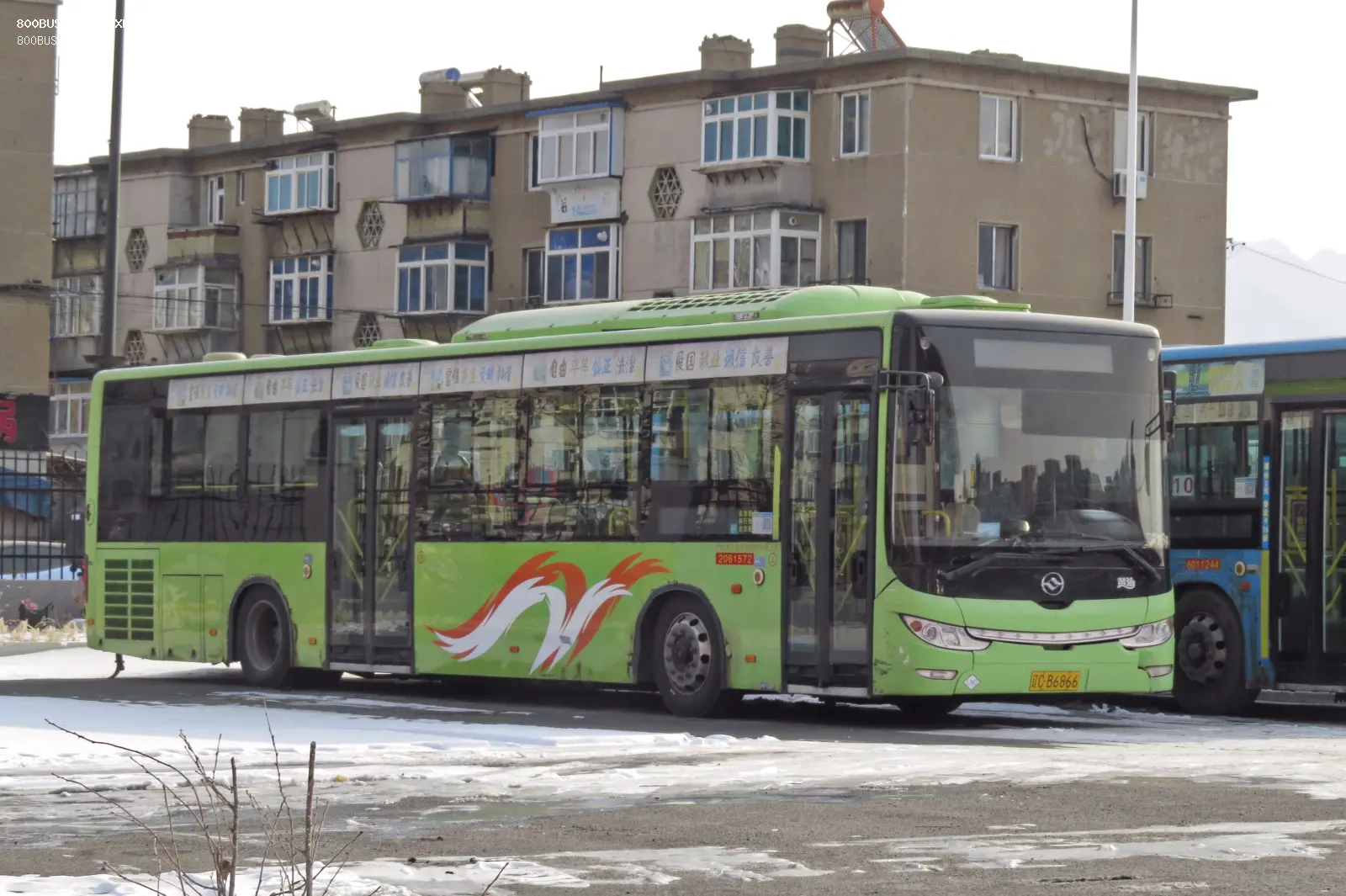 Bus Archive